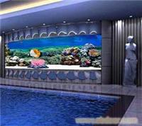 上海鱼缸 