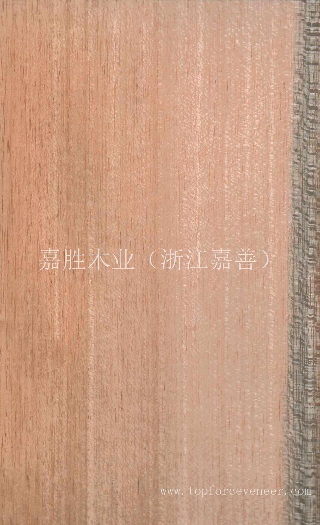 绿鳄鱼黎丝木皮 Green Crocodile Lace Wood Veneer