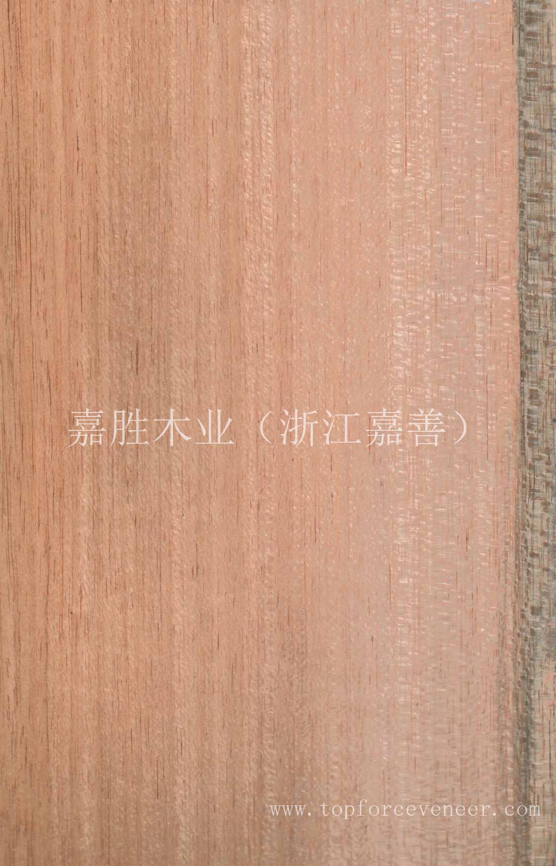 绿鳄鱼黎丝木皮 Green Crocodile Lace Wood Veneer