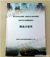 商业计划书编制,中英文商业计划书,编制中英文商业计划书,中英文商业计划书,中英文商业计划书编制