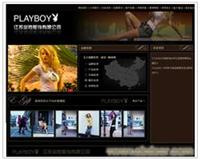 上海浦东网站设计的公司 