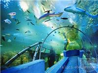 亚克力水族箱订制厂家