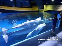 亚克力水族工程设计制作厂家