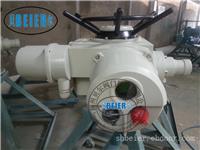 智能一体化开关型DZW45-24Z电动装置