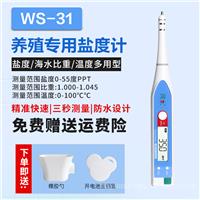 数字式盐度计    WS-100数显盐度计