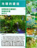 池塘的建造 