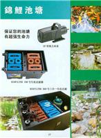锦鲤池塘 