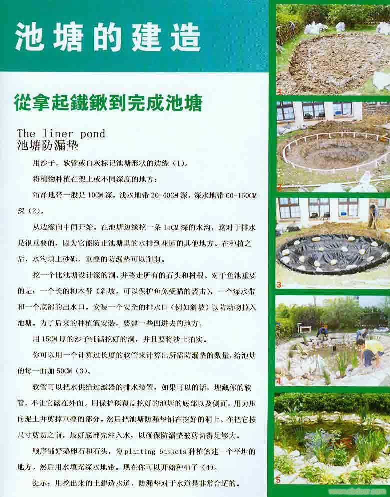 锦鲤池塘�