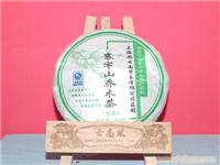 哀牢山乔木茶 
