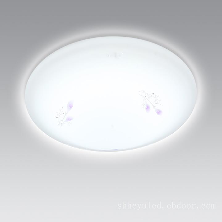 LED（声光控）紫百合吸顶灯,LED声光控吸顶灯