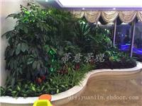 上海别墅花园绿化