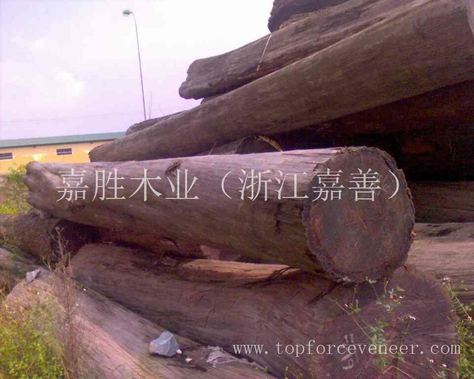 亚洲东南亚老挝(越南)桧木原木