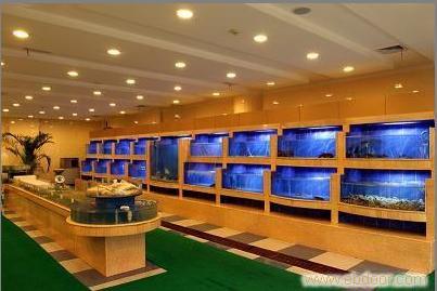 鱼缸展示�