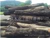 浙江嘉善干窑美国黑胡桃原木 ZheJiang Jiashan GanYao American Walnut Veneer Log / Saw Log