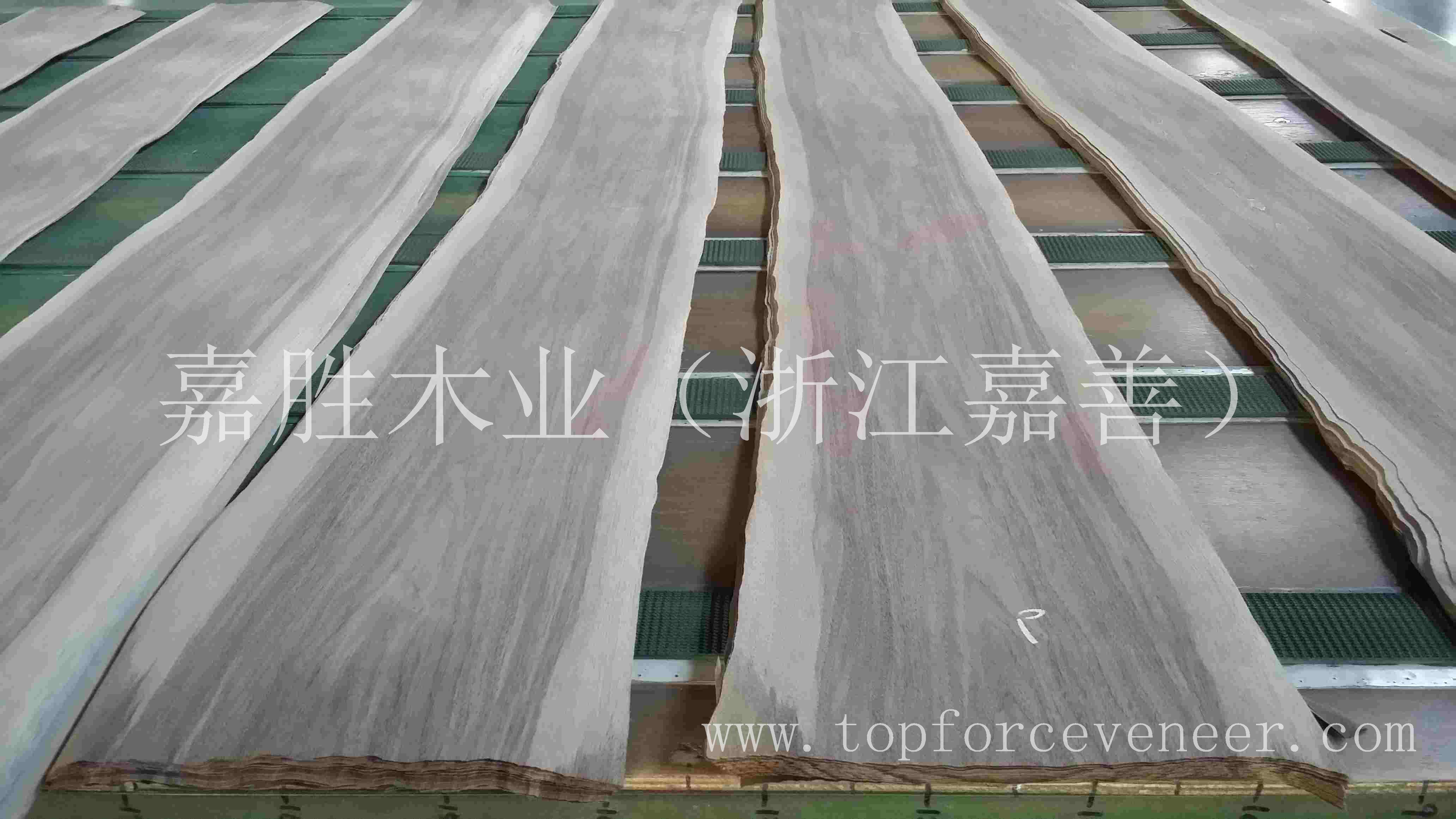 黑胡桃带白边木皮 Sappy Walnut Veneer