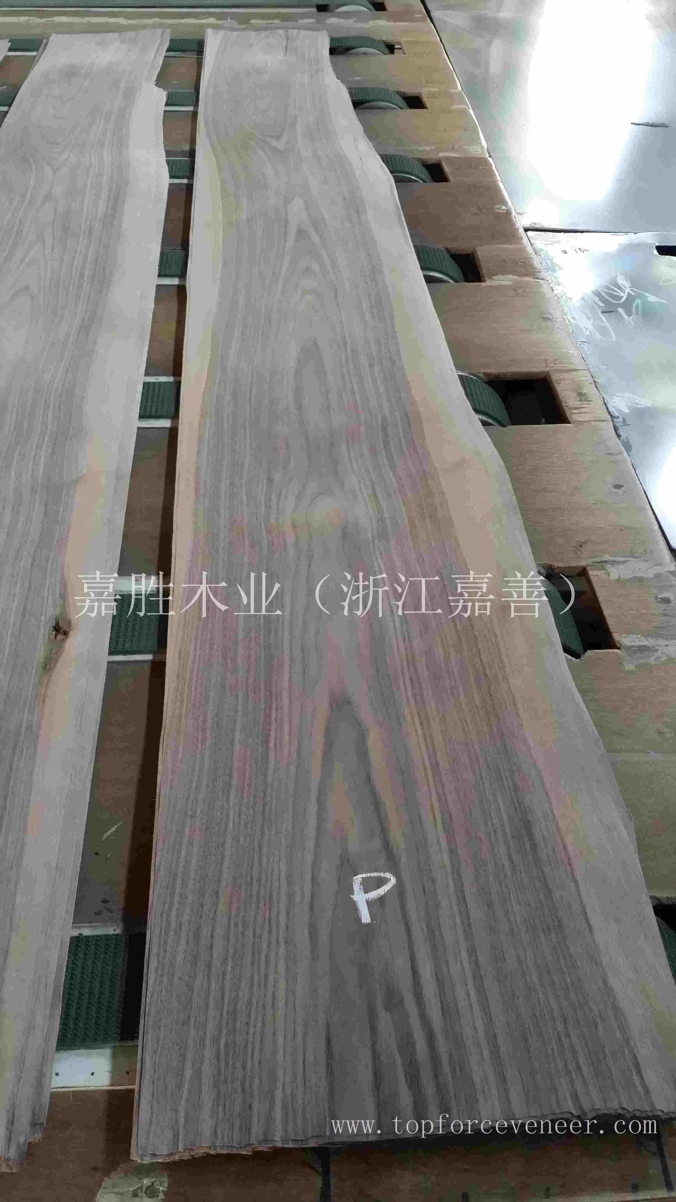 黑胡桃带白边木皮 Sappy Walnut Veneer