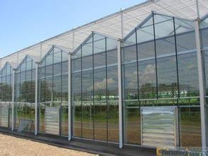 智能玻璃温室_Venlo型玻璃温室项目