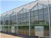 智能玻璃温室_Venlo型玻璃温室项目