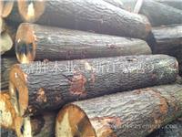 北美美国佛蒙特或缅因州红橡刨切级4SC 3SC原木 Vermont & New Hampshire Red Oak Veneer Logs