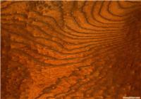 PU各色有色透明面漆--木纹家具 