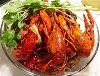 龙虾料加盟 