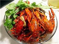 龙虾料代理 