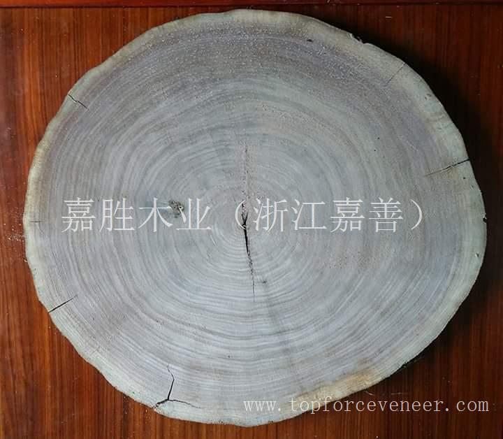 美国黑胡桃原木年轮 Walnut Logs' Annual Growth Rings