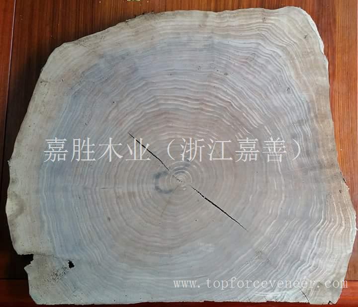 美国黑胡桃原木年轮 Walnut Logs' Annual Growth Rings