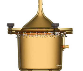 Ricordi? 腔室系统