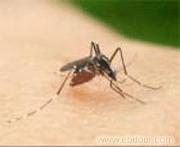上海专业上门灭蚊子苍蝇蟑螂电话5�