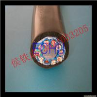 6芯4平方变频器电缆 