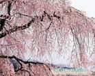 无锡太湖一日游 