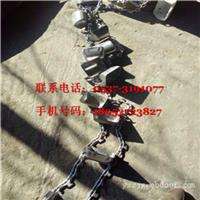 湖北省粮食斗提机 ，固定式挖斗提升机，兴运厂家支持定做