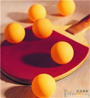 上海静安乒乓球娱乐 