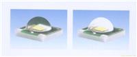 LED灯 路灯 隧道灯 上海墙头灯 庭院灯 LED过道灯 