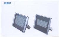 隧道灯 上海隧道灯 LED灯 路灯 墙头灯/庭院灯/LED过道灯 