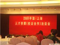 上海人才中介公司 徐汇员工派遣 闵行劳务所 