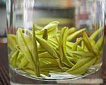 安吉白茶价格 
