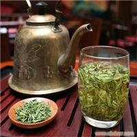 安吉白茶批发 