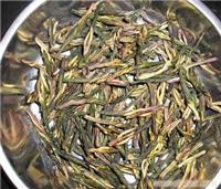 海南苦丁茶价格 
