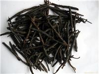 苦丁茶的功效 