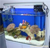 海水鱼缸价格-海水鱼缸价格-13701614709