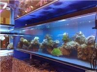 上海海水鱼缸制作-上海海水鱼缸制作-13701614709