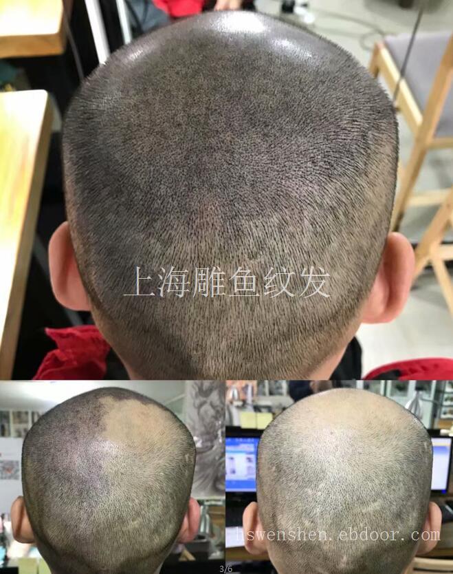 中国上海纹发