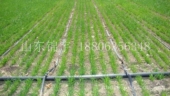 厂家直销PE农用灌溉管PE灌溉管材价格