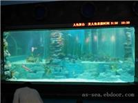 亚克力鱼缸定做 大型观赏鱼缸制作