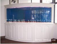 上海专业定做鱼缸/汇蓝海水族