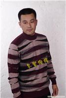 男式羊绒衫2011款式 上海