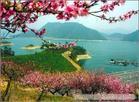 乌镇、杭州、绍兴三日游A线 