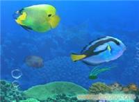 上海艺海园景观公司 